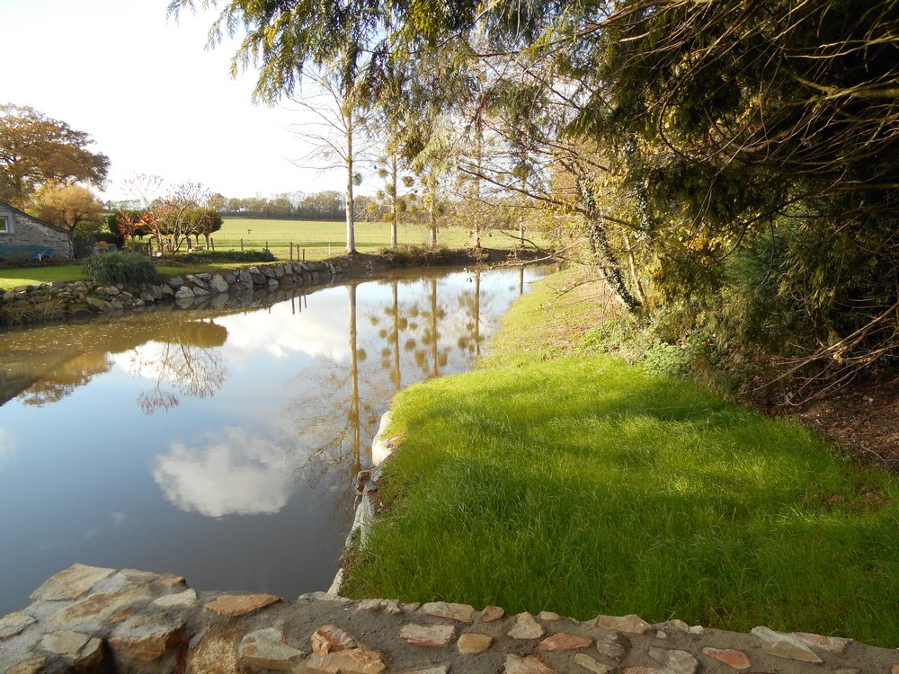 Traitement différencié des berges à Montigné